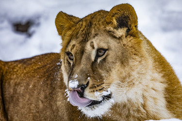 Similar image 22360580