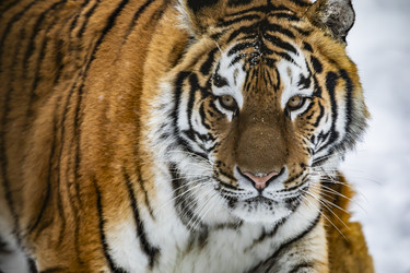 Similar image 22360581