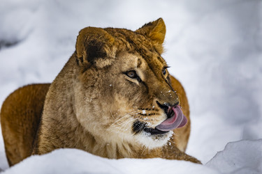 Similar image 22360582