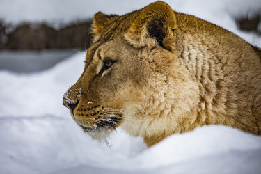 Similar image 22360583