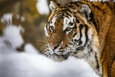 Similar image 22360584