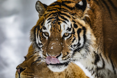 Similar image 22360586