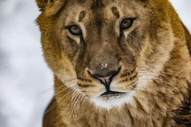 Similar image 22360587