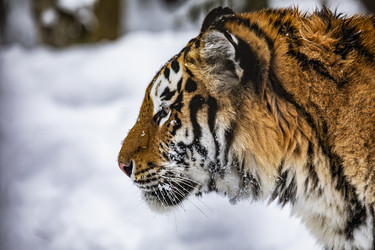 Similar image 22360588