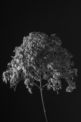 Similar image 22353822