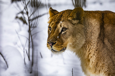 Similar image 22360630