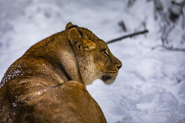 Similar image 22360639