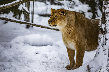 Similar image 22360640