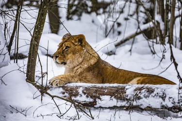 Similar image 22360641