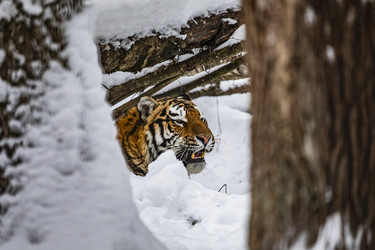 Similar image 22360642