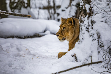 Similar image 22360643