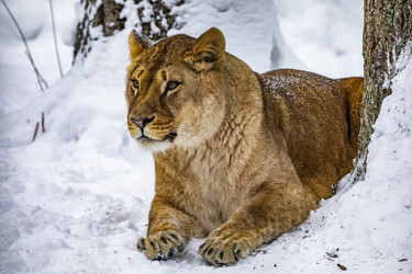 Similar image 22360644