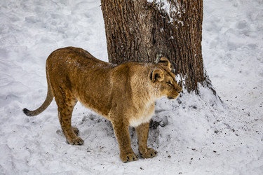 Similar image 22360645