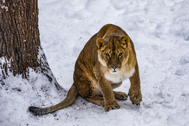 Similar image 22360646