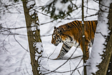 Similar image 22360647