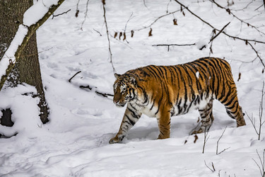 Similar image 22360648