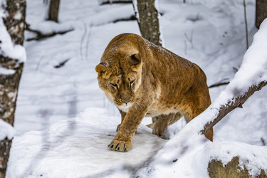 Similar image 22360649