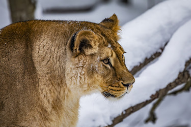 Similar image 22360650