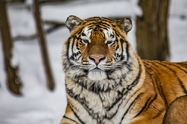 Similar image 22360651