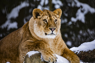 Similar image 22360661