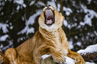 Similar image 22360662