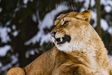 Similar image 22360663