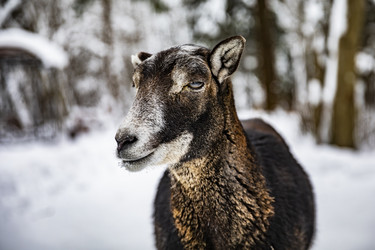 Similar image 22360666