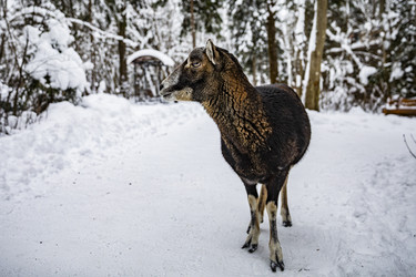 Similar image 22360667