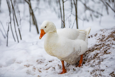 Similar image 22360668