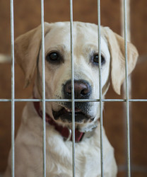 Similar image 22354761