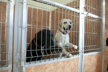 Similar image 22354764