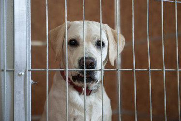 Similar image 22354765