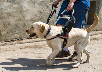 Similar image 22354776