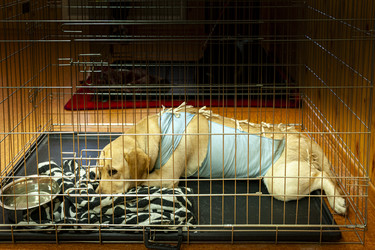 Similar image 22354779