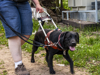 Similar image 22354780