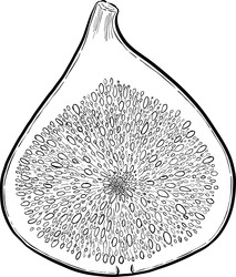 Similar image 22363887