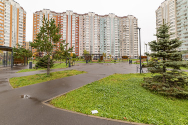 Similar image 22359239