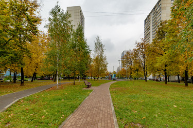 Similar image 22381610