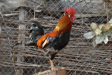 Similar image 22365994