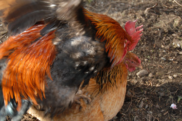 Similar image 22365995