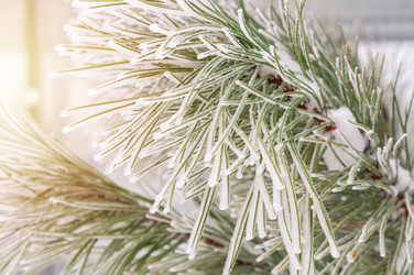 Similar image 22355306