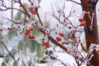 Similar image 22355315