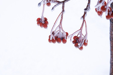 Similar image 22354655