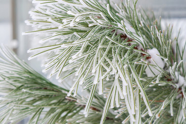 Similar image 22359341