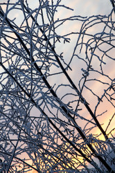 Similar image 22372595