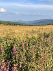 Similar image 22360216