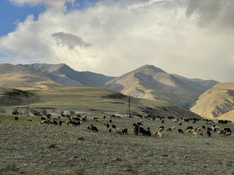 Similar image 22360218