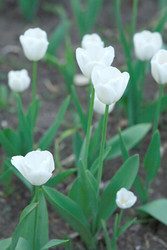 Similar image 22380313