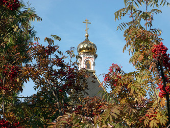 Similar image 22380521