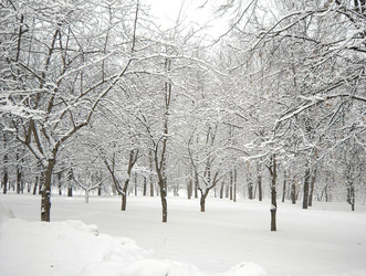 Similar image 22380625